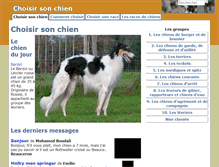 Tablet Screenshot of chien.ouest-atlantis.com